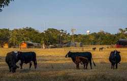 403 Hickey Road, Yoakum, TX 77995