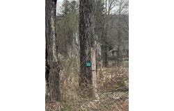 5232 Route 23A, Haines Falls, NY 12436