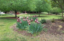 4721 Sherborne Drive, Pfafftown, NC 27040