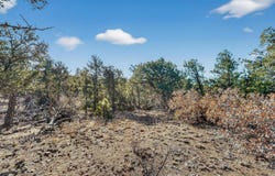 La Posta Way Tract 7-2, Santa Fe, NM 87505
