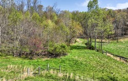 Tba Black Locust Road, Jonesville, VA 24263