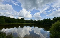 2640 Dutchman Lake Rd, Vienna, IL 62995