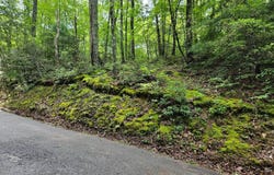Lot 1006 N School House Gap Rd, Sevierville, TN 37876