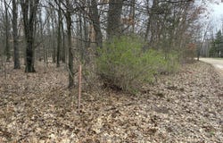 oo 58th, Pullman, MI 49450