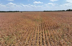 001 FM 3297, Randolph, TX 75475
