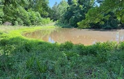 53 Cliffs Plantation Road, Natchez, MS 39120