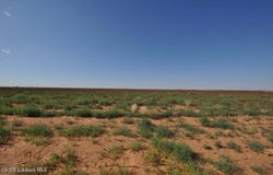 Tract 12 , N County Road 1200, Shallowater, TX 79363
