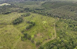 0 Bush Road, Graceville, FL 32440
