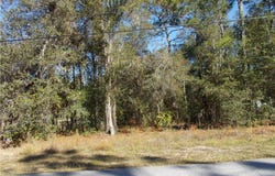 1401 E BISMARK Street, Hernando, FL 34442