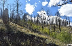 Soubry Pl, Fort Garland, CO 81133