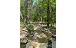 210 Acres County Road 604, Hollytree, AL 35751