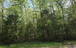 704 E Moonstone Boulevard, Horseshoe Bend, AR 72512