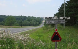 7595 Randolph Way, Mesick, MI 49668