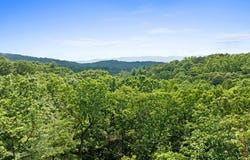 Osceola Dr - Lot #8, Ellijay, GA 30540