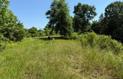 53 Cliffs Plantation Road, Natchez, MS 39120