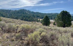 135/137 Skidoo Place, Cascade, ID 83611