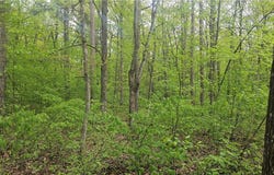 Lot 2 Buckeye Lane, Stone Lake, WI 54876