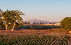 7824 E County Road 16, Johnstown, CO 80534