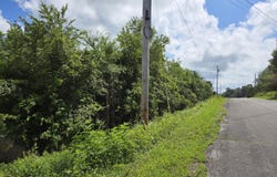 Tbd Pelican Lane, Greeneville, TN 37743