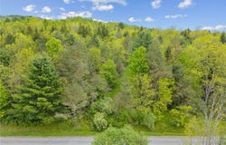Lot 7C Blackman Hill Road, Caroline, NY 13736