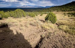 TBD Road 35, Mancos, CO 81328