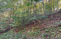 175 Canaan Road, Butler, TN 37640