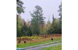 6342 Hwy 21, Embarrass, MN 55732