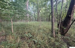 SW 1601 Road, Montrose, MO 64770