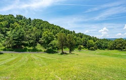 Lot #18 Vineyard Valley Drive, Butler, TN 37640