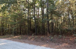 6823 Chaucer Lane, Box Springs, GA 31801