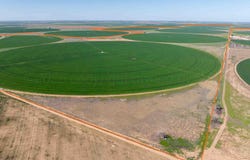 Busby Farms ±1,693.16 Ac. Farm, Hart, TX 79027