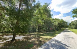 305 N Woodlake Avenue, Inverness, FL 34453