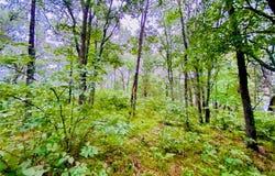 0 North Point Drive, Minong, WI 54859