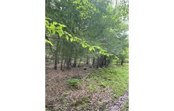 39 Birch Ln, Swan Lake, NY 12783