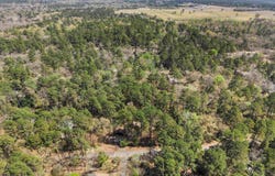 168 Hearthside Path, Holly Lake Ranch, TX 75765