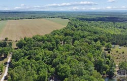 1.72 Acres Sid Hayes Rd, Jay, FL 32565