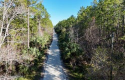 Old Train Road, New Smyrna Beach, FL 32168