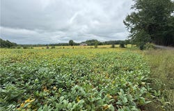 Hewlett Road, Beaverdam, VA 23015