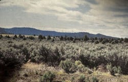 Fossil Lake Rd, Christmas Valley, OR 97641