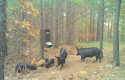 State HWY 144, Nashoba, OK 74558