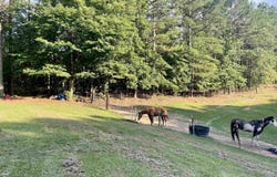 4953 OLD PINEYWOODS ROAD, JASPER, AL 35504