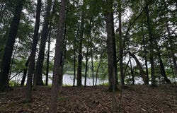 5133 N Waite Drive, Irons, MI 49644