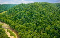 Spring Creek Rd, Cookeville, TN 38501