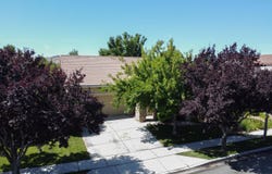 3727 Caymus Drive, Sparks, NV 89436