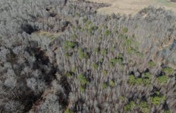40ac CR 192, Prairie, MS 39756