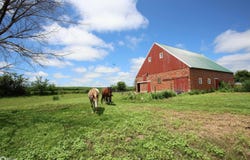 24388 250Th Street, Eldora, IA 50627