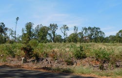 Jackie Byrd Road, Plain Dealing, LA 71064