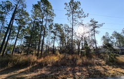 215 OAK LANE CIRCLE, OCALA, FL 34472