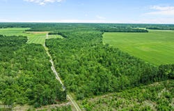 1 Green Sea Road, Garland, NC 28441