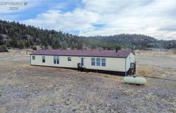 966 County Rd 411, Florissant, CO 80816